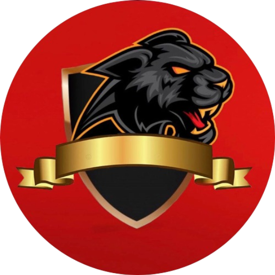 home team logo