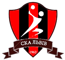 home team logo