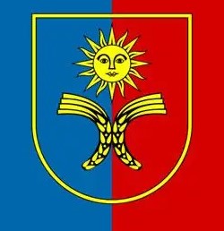 home team logo