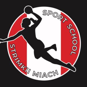 team logo